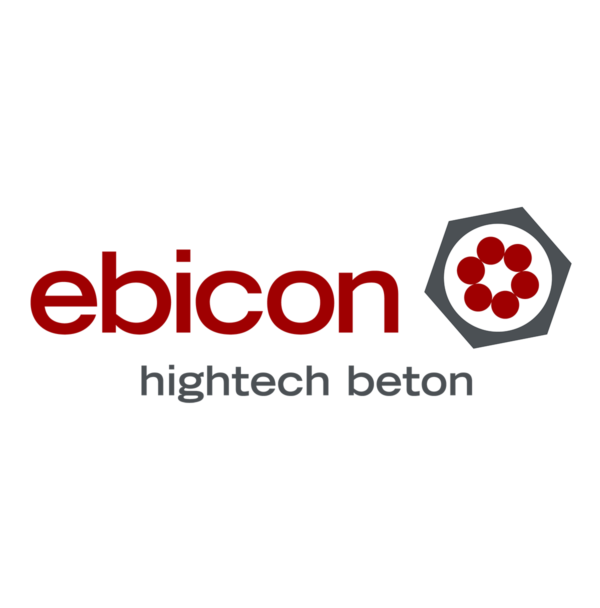 Ebicon AG